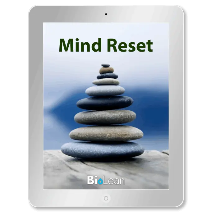 mind-reset